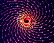 spiral