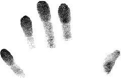 Fingerprints