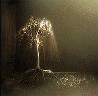 Lord of the Rings images copyright 2002 New Line Productions