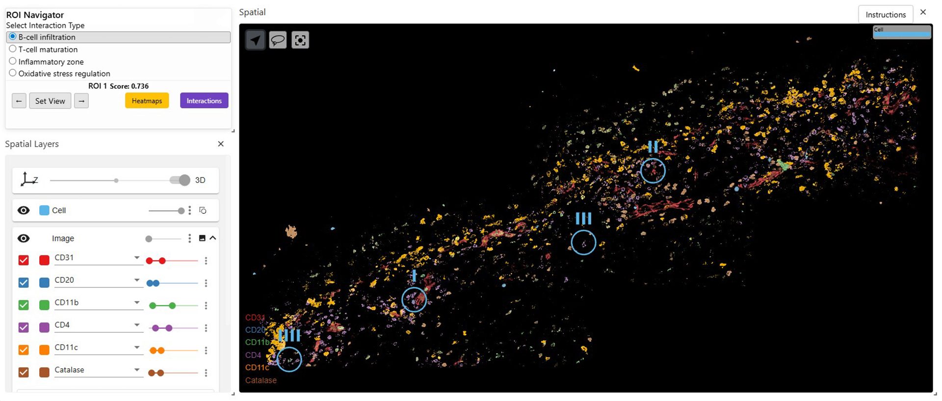 An image named attention-based-roi-discovery-in-3d-tissue-images.png