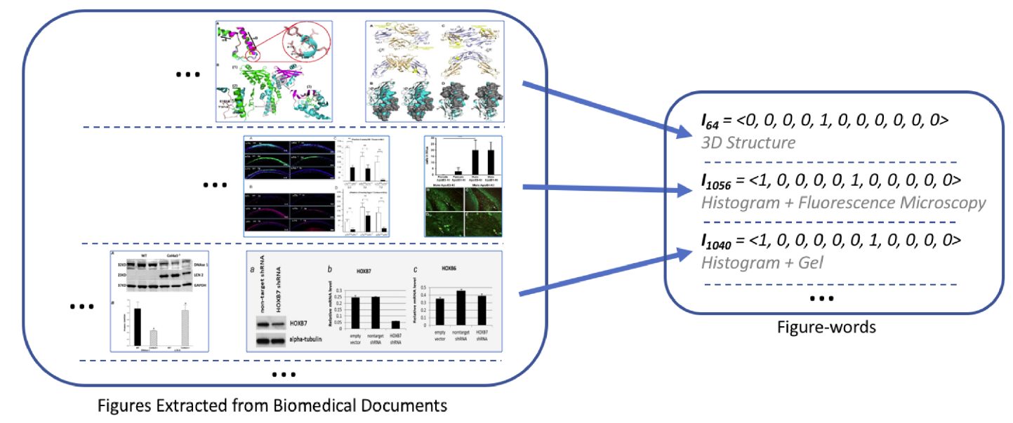 The process for converting figures into their corresponding Figure-words. The set of figures extracted from the biomedical document (left). The corresponding Figure-word with their vector representations indicating the types of comprising panel (right).