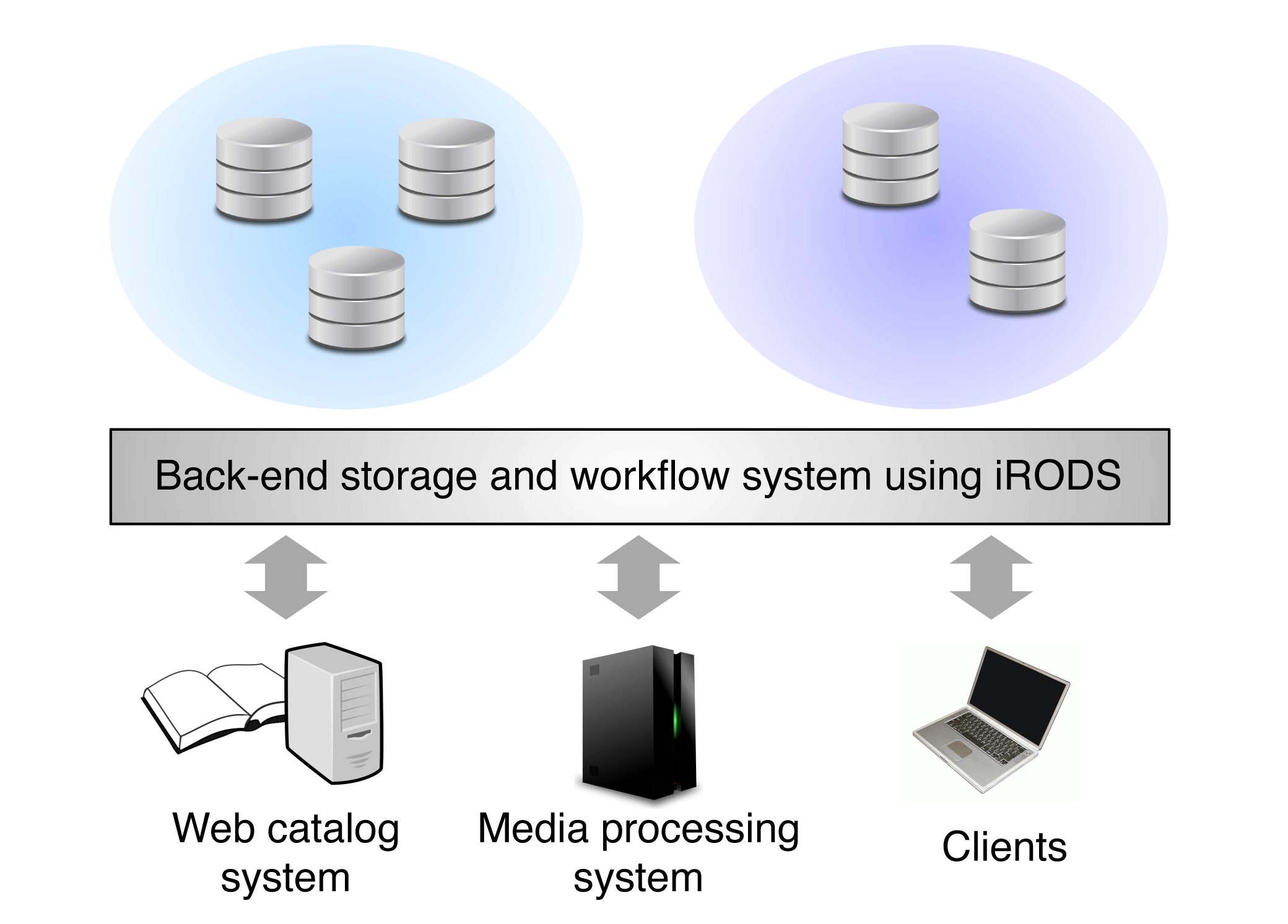 Back-end storage and workflow system using iRODS