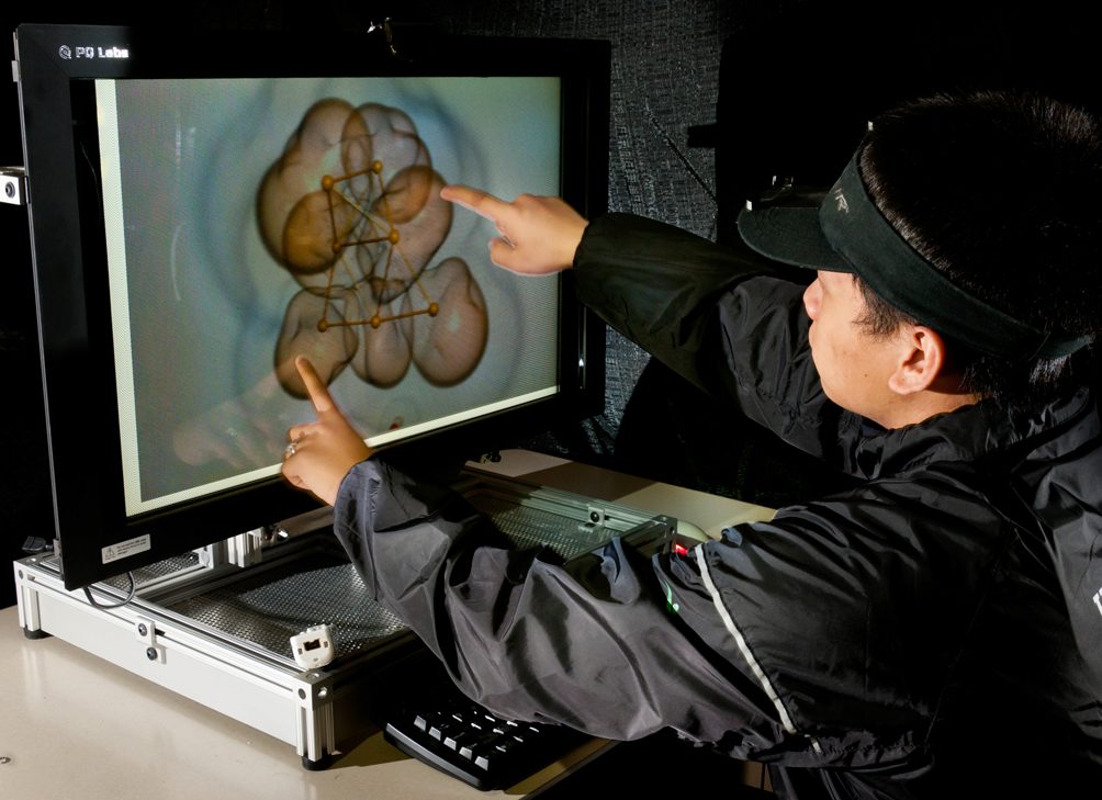 User Multitouch Interaction with Dynallax