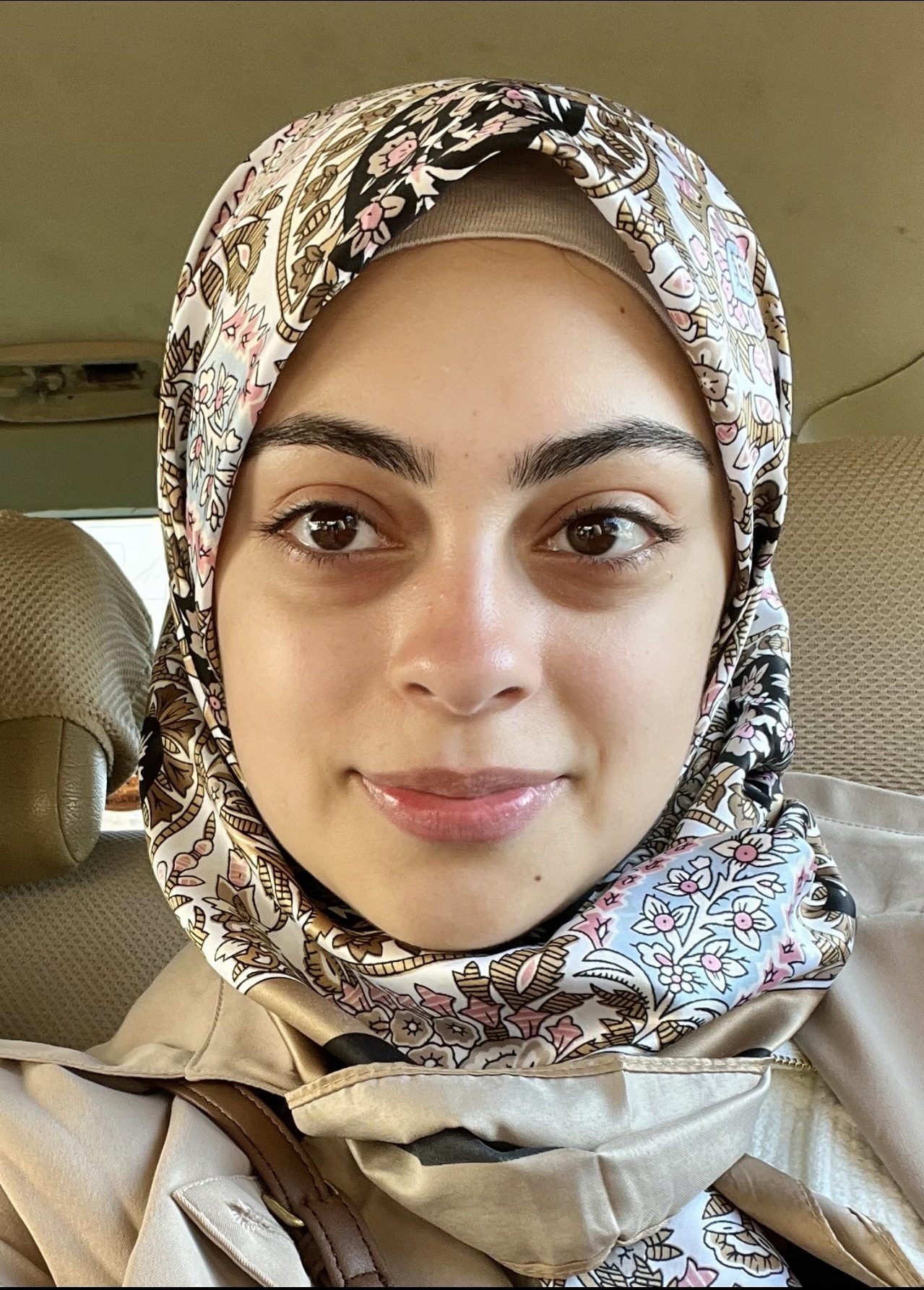 An image named fjassim.png