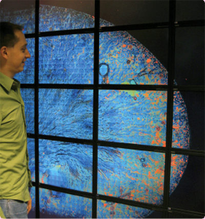 Scientist examining the rat kidney dataset on a 100 mega pixel display