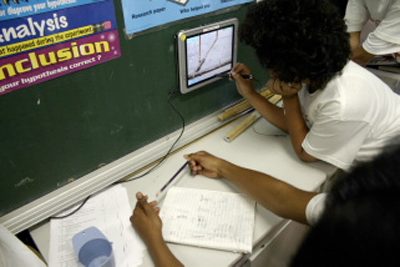 Students investigate WallCology and tally their results