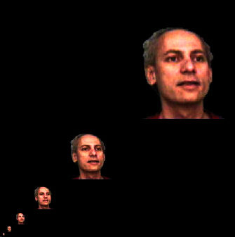 An image named k_timm_dirpic.jpg