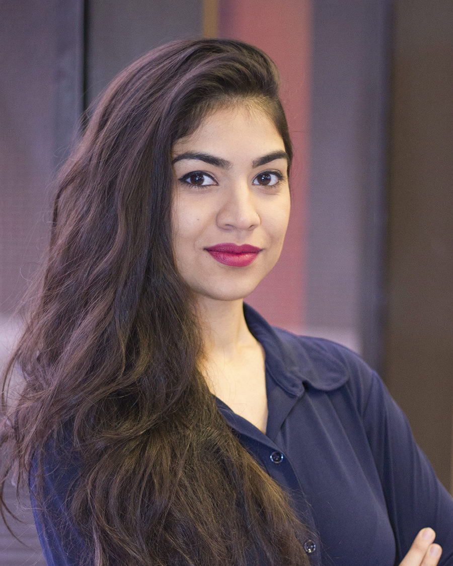 An image named lmirza.jpg