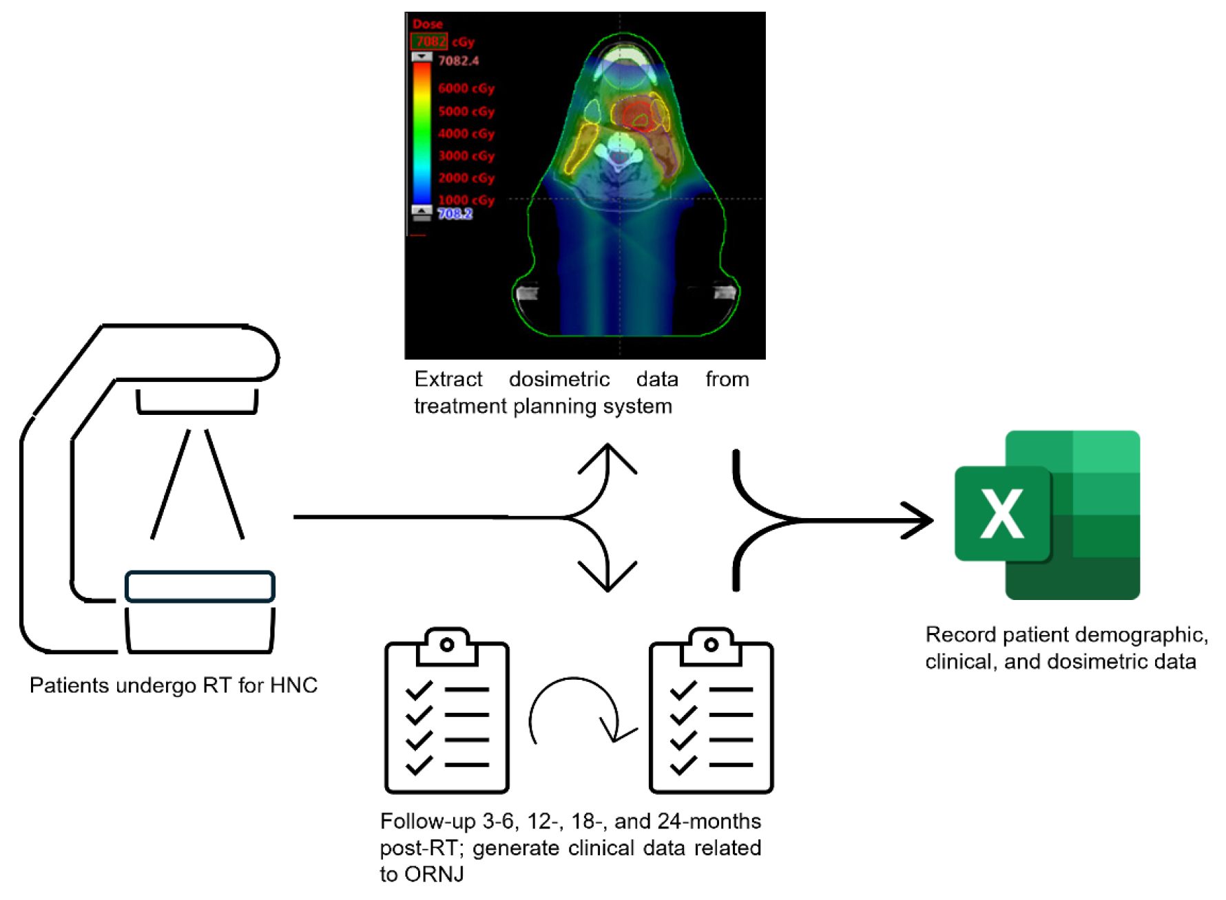 Diagram showing the data collection workflow and input into the final CSV file.