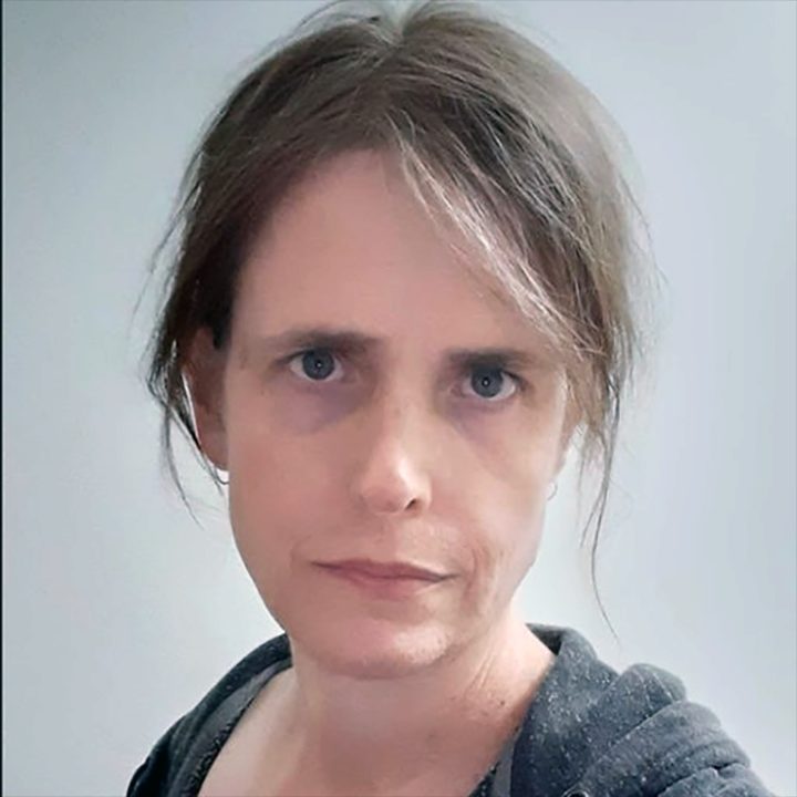 An image named ptreebridge-copy-2.png