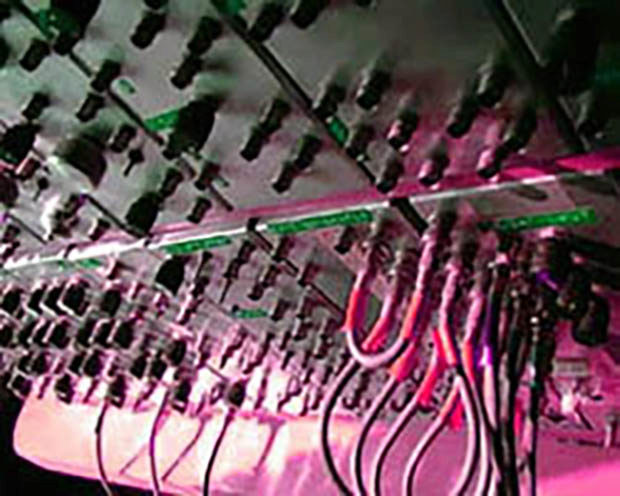 An image named sandinip.jpg