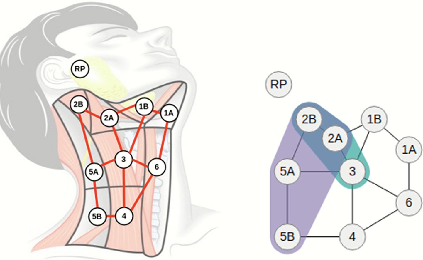 Topological map and graph representation.