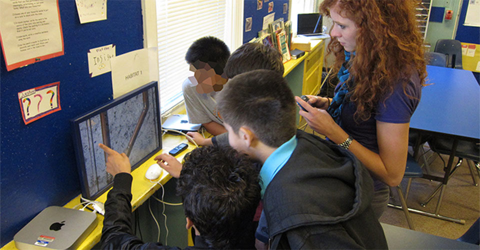Wallcology in the classroom.