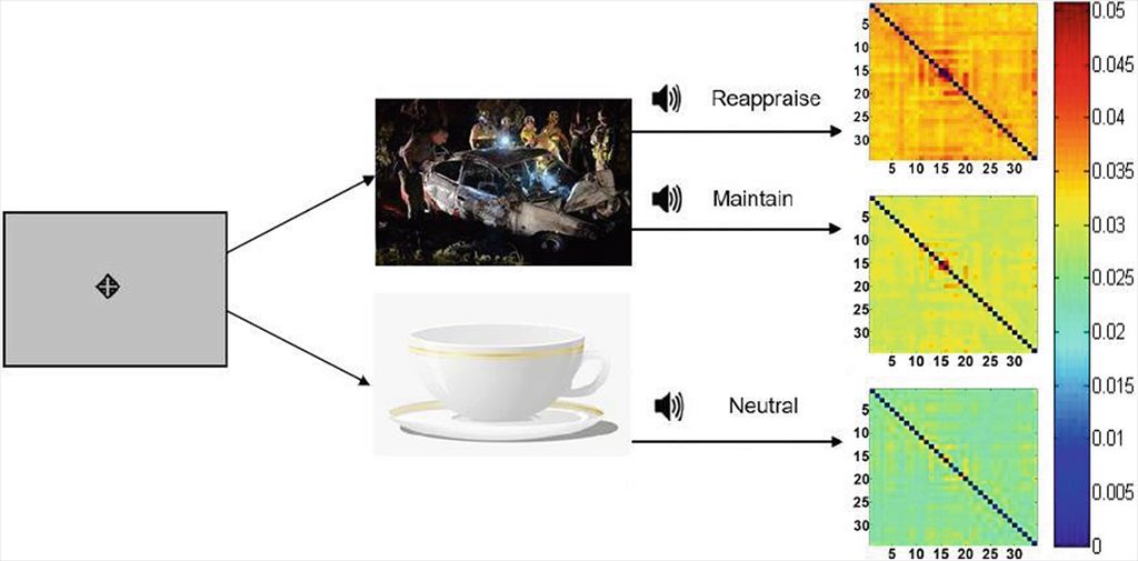 An illustration of a typical ERT session. A fixation point is on display before each trial, then followed by either a neutral or negative picture on the screen. An audio instruction will ask test subjects to maintain, reappraise or stay neutral.